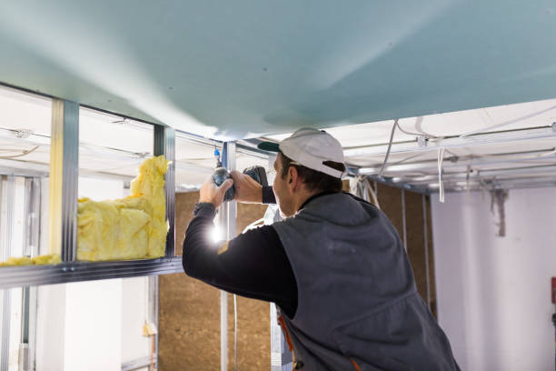 Best Residential Insulation in Telluride, CO