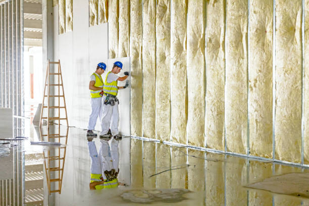 Best Insulation for Specific Applications in Telluride, CO